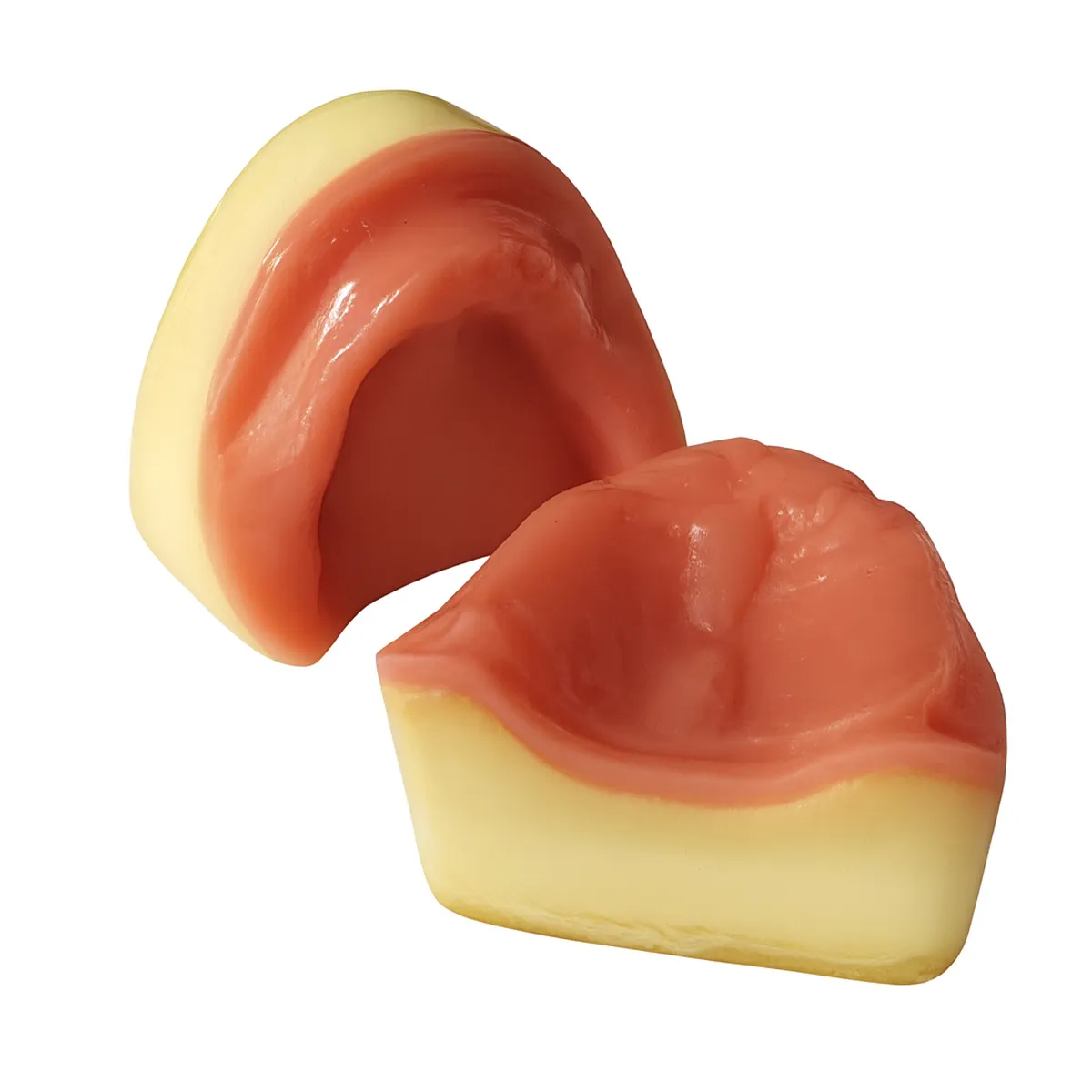 iDENTical Implant Practice Edentulous Model For Overdenture M2053