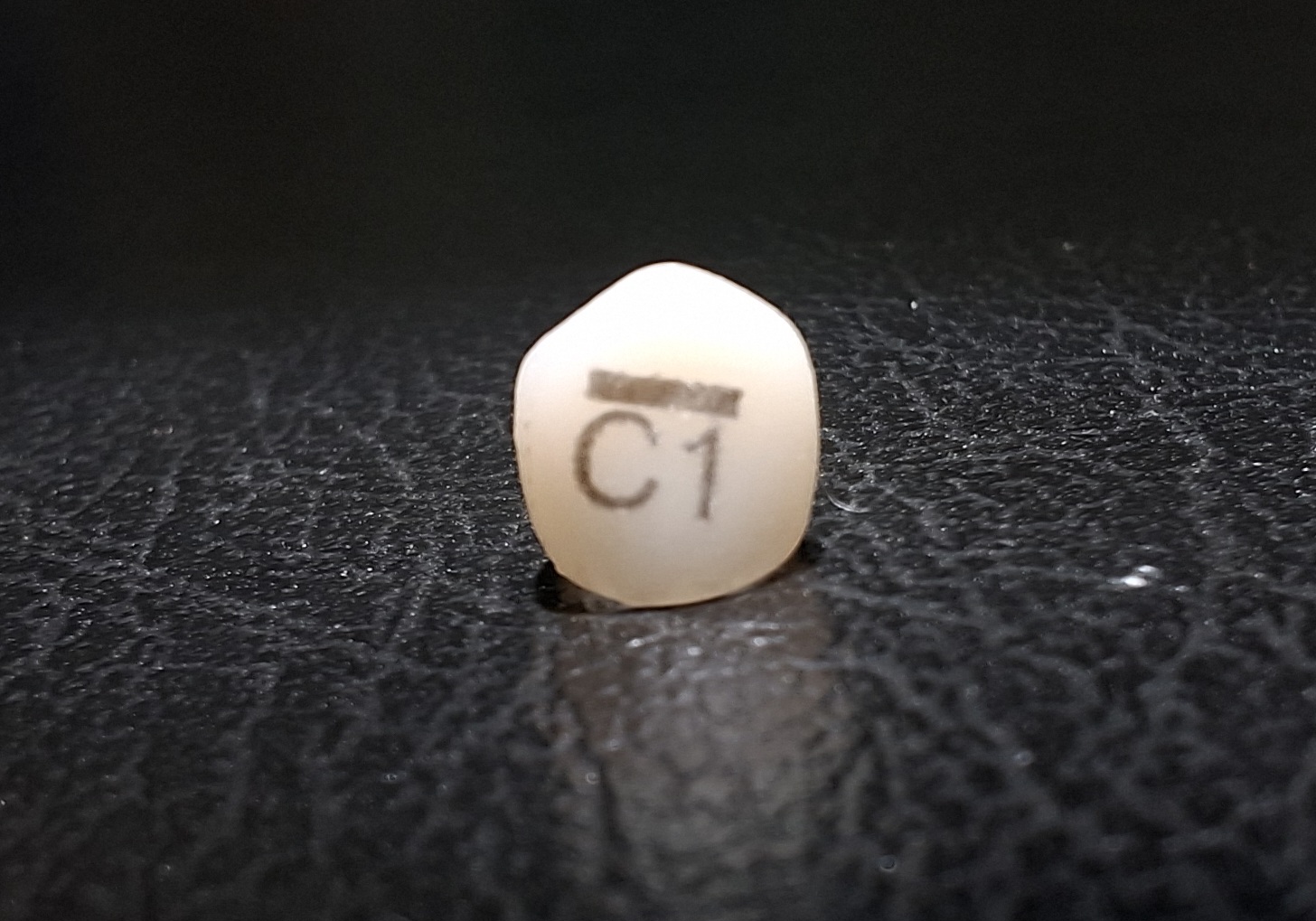 Pedo Crown Primary Upper Canine Refills