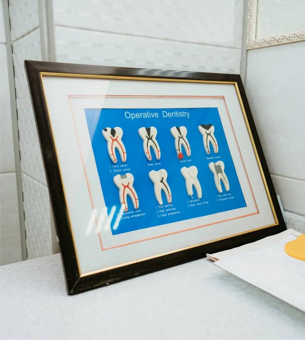 iDENTical 8 In 1 Dental Treatment Educational Board ZYR-4001