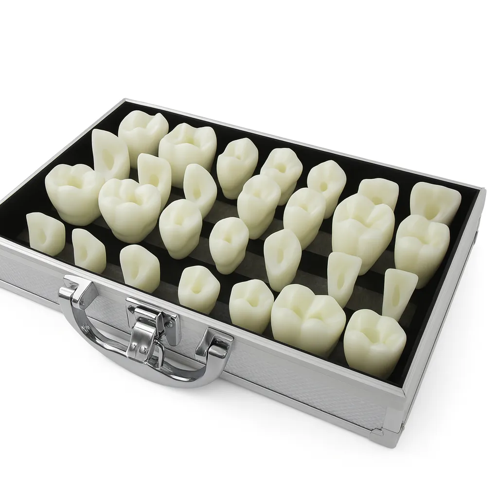 IDENTical Endo Access Cavity Demonstration Kit (Set Of 28 Teeth)-M7033