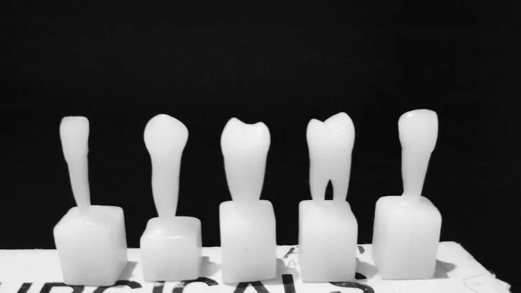 MDM Carving Wax Blocks