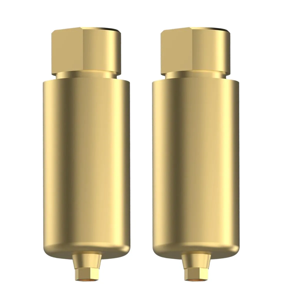 EZ Fit Conical Premill Titanium Abutment Blanks With 2 Screws