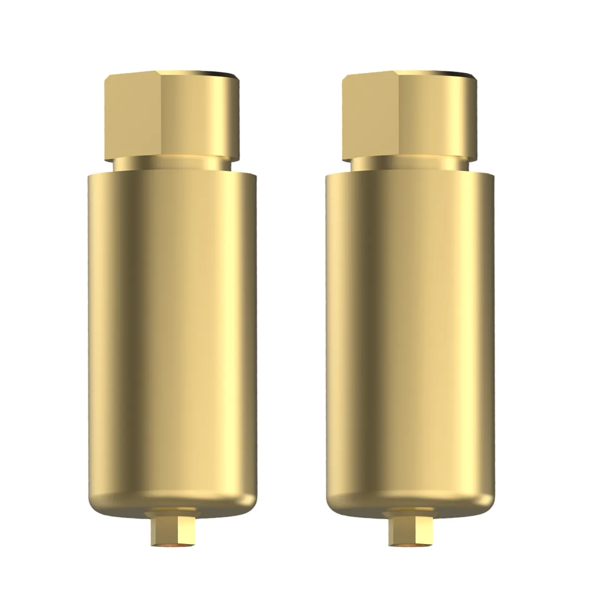 EZ Fit Internal Hex Premill Titanium Abutment Blanks With 2 Screws