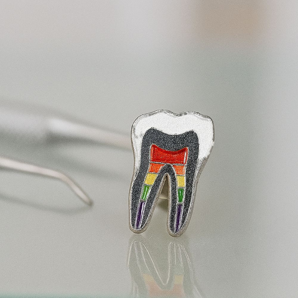 iDentical Tooth Shape Brooch With Rainbow Nerve Design – Pack Of 1 (ZYR-7412)