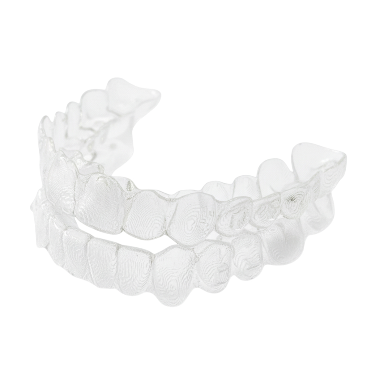iDENTical Orthodontic Model With Transparent Retainer M3015