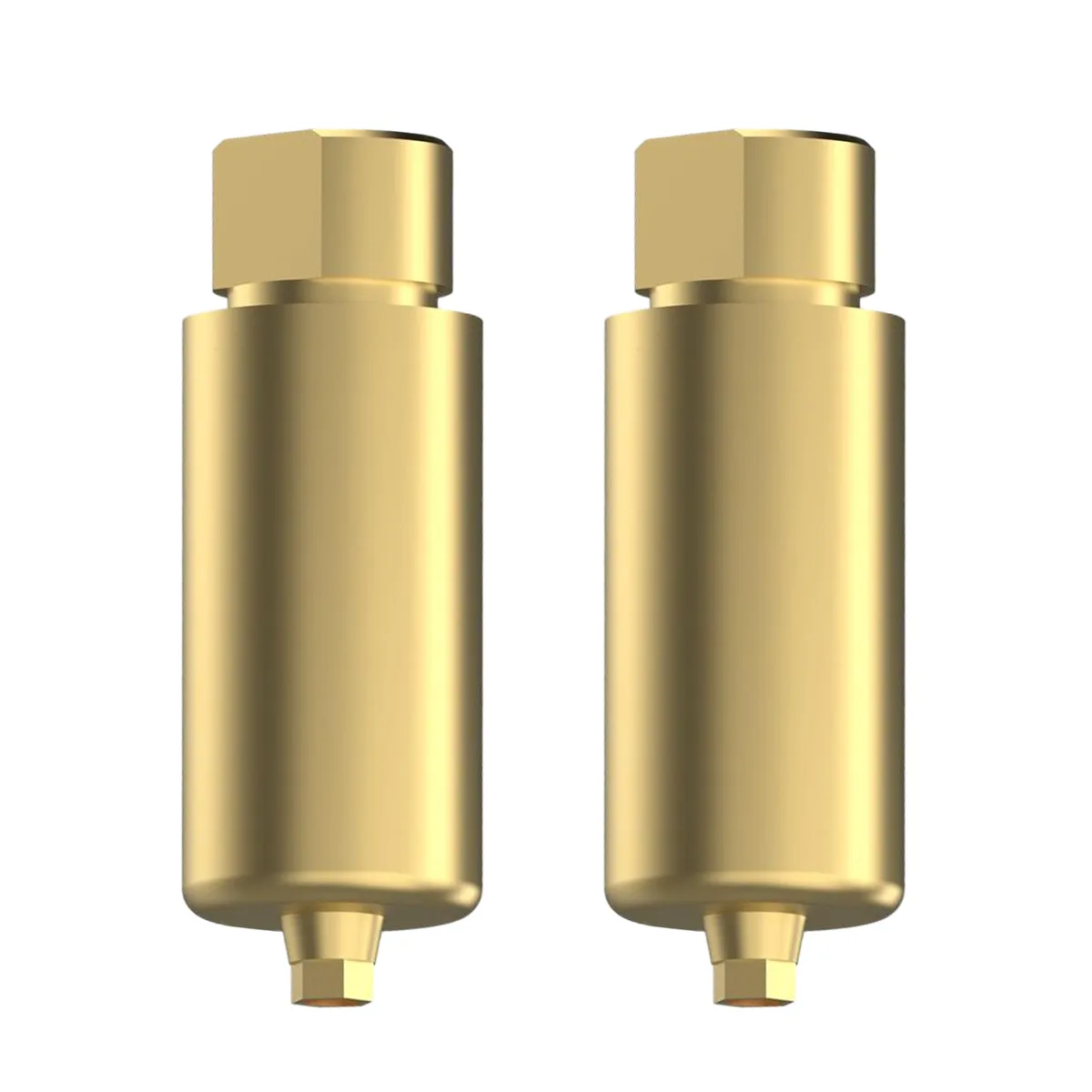 EZ Fit Nobel Biocare RP Compatible Premill Titanium Abutment Blanks With 2 Screws