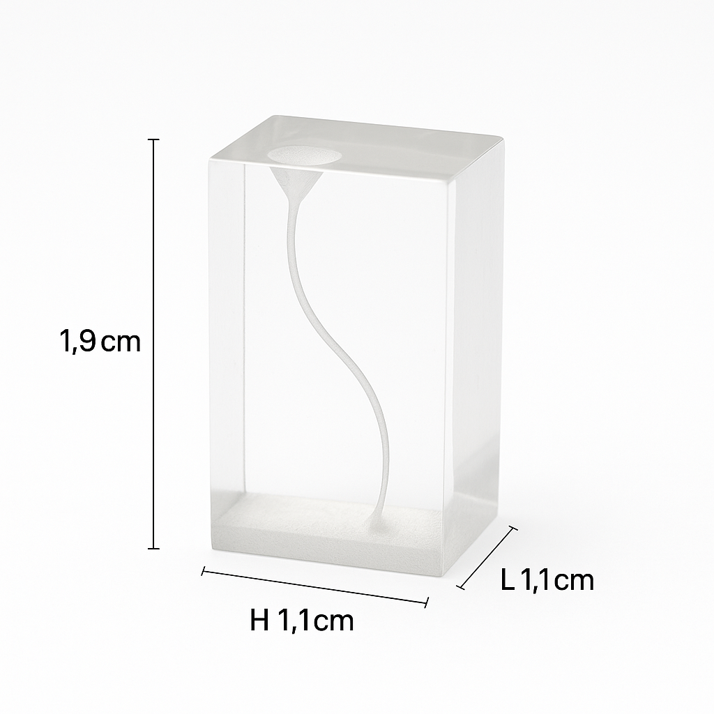 IDENTical Endo Training Block With S-shaped Canal For Root Canal Practice M8001-4