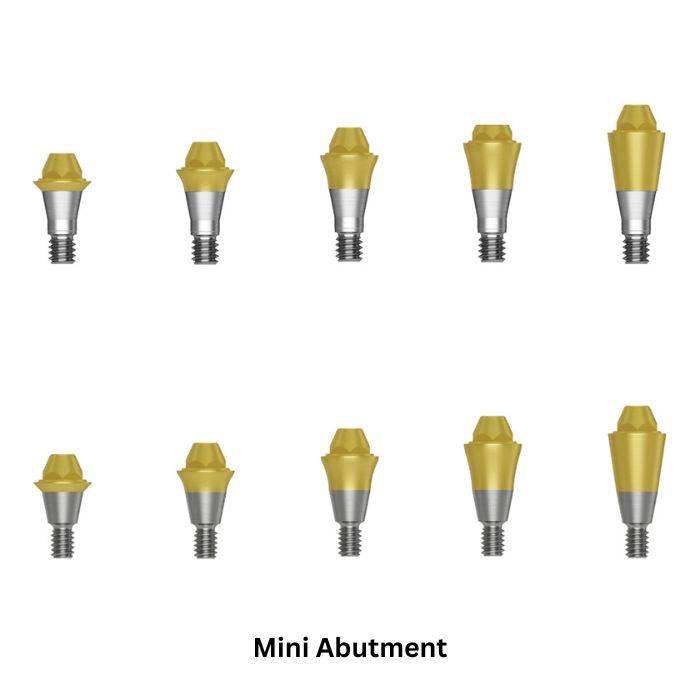 Dentaltech Korean Implant Compatible Multi Unit Straight Abutments