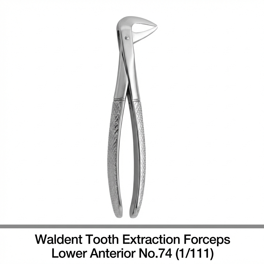 Waldent Tooth Extraction Forceps Lower Anterior No.74 (1/111)