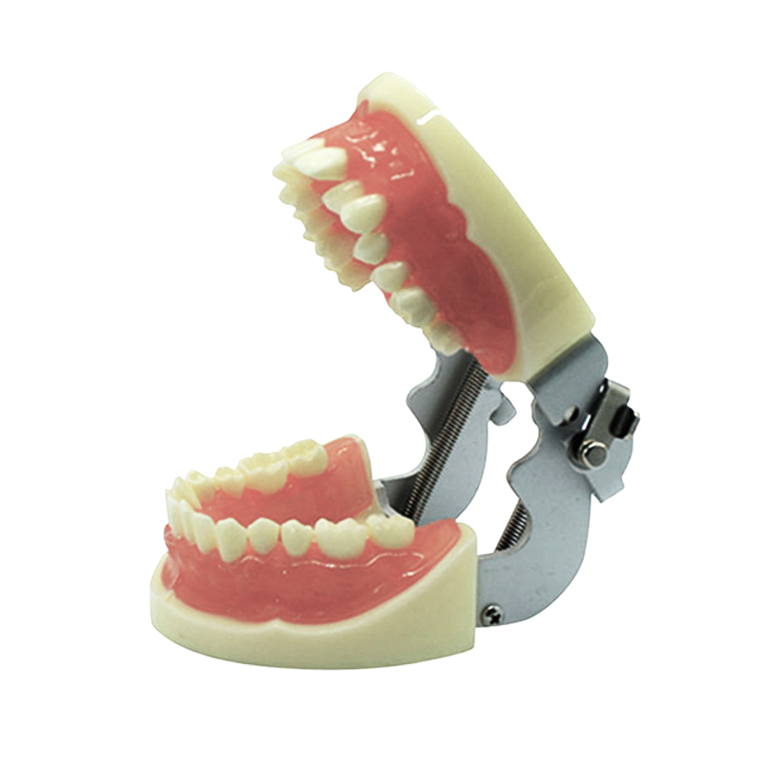 IDENTical Extraction Training Model M8016