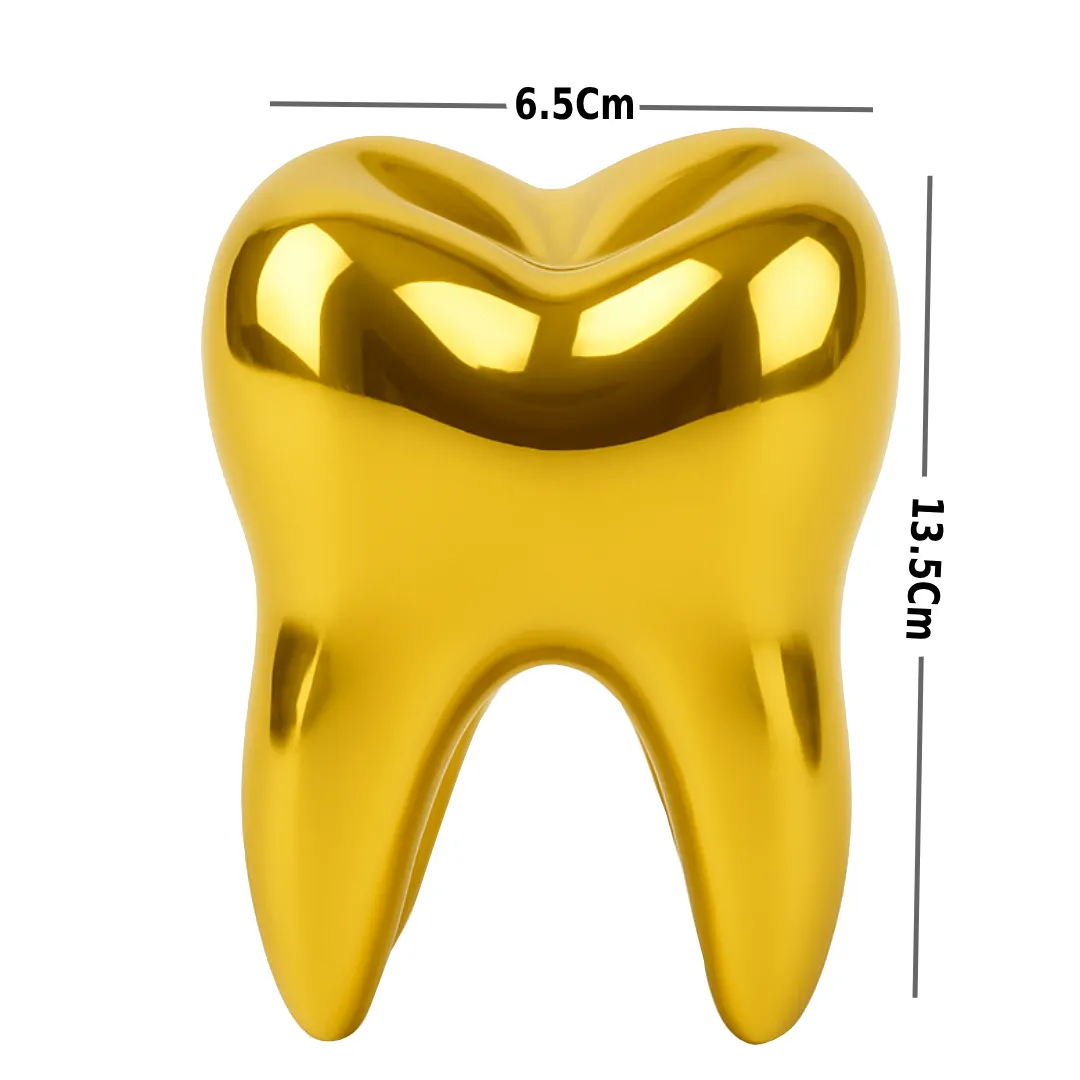 IDentical Dental Golden Tooth Model ZYR-4042