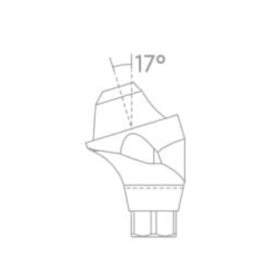 Dentaltech Israeli Implant Compatible Multi Unit Angular Abutments RS
