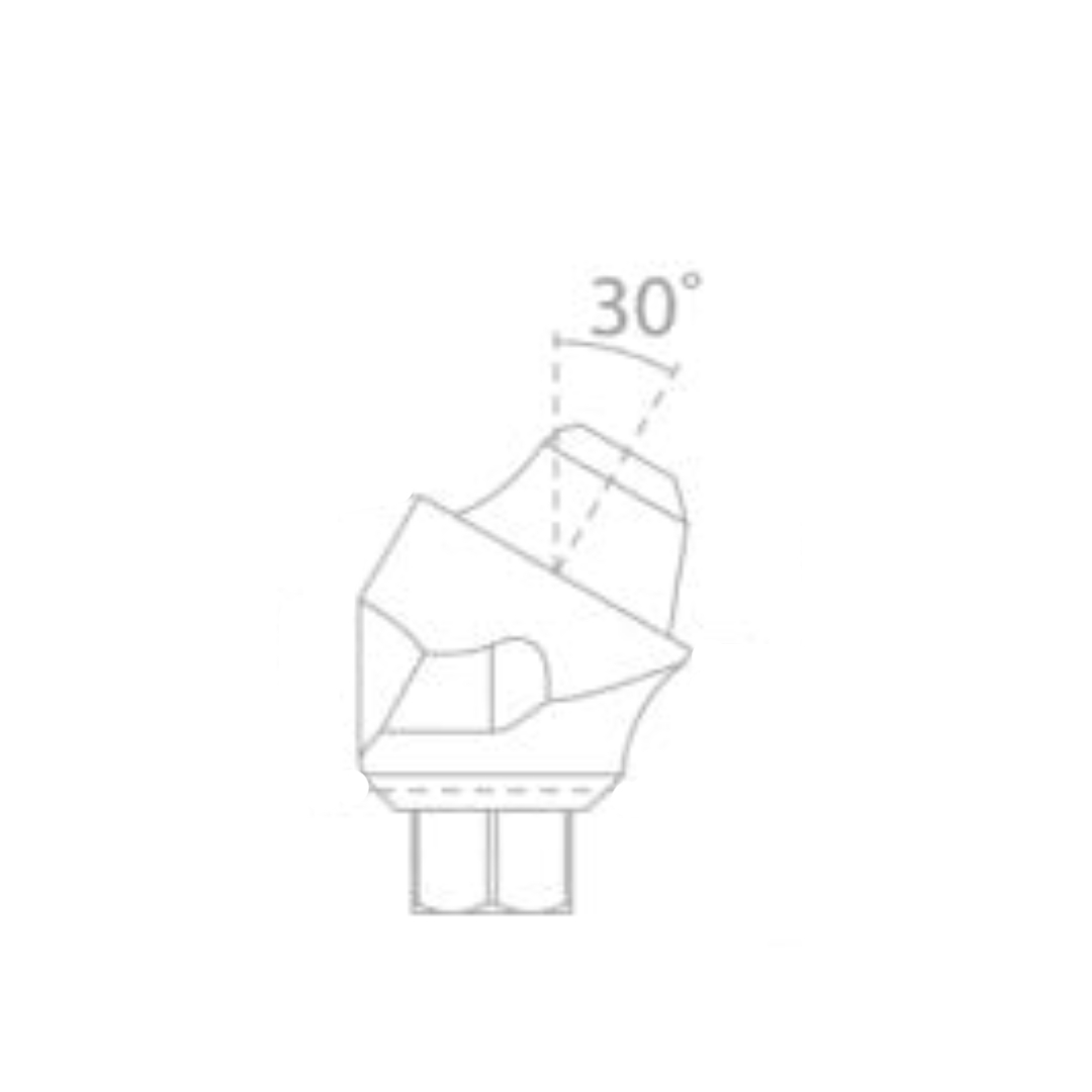 Dentaltech Israeli Implant Compatible Multi Unit Angular Abutments RS 
