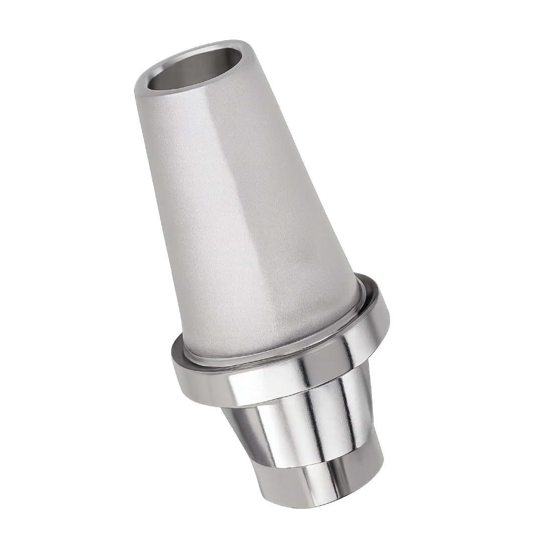 Dentaltech Nobel RP Implant Compatible Straight Abutments