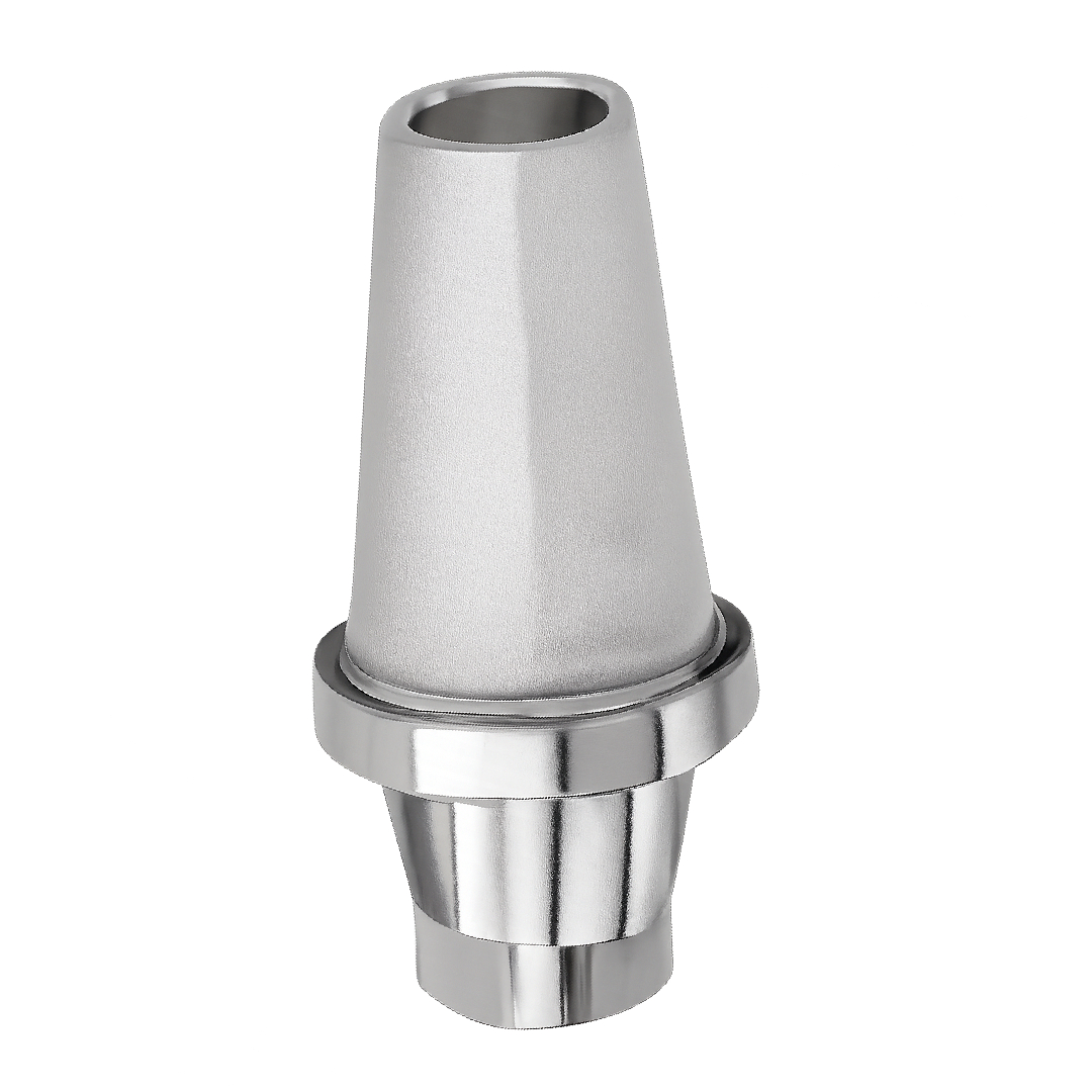 Dentaltech Nobel RP Implant Compatible Straight Abutments