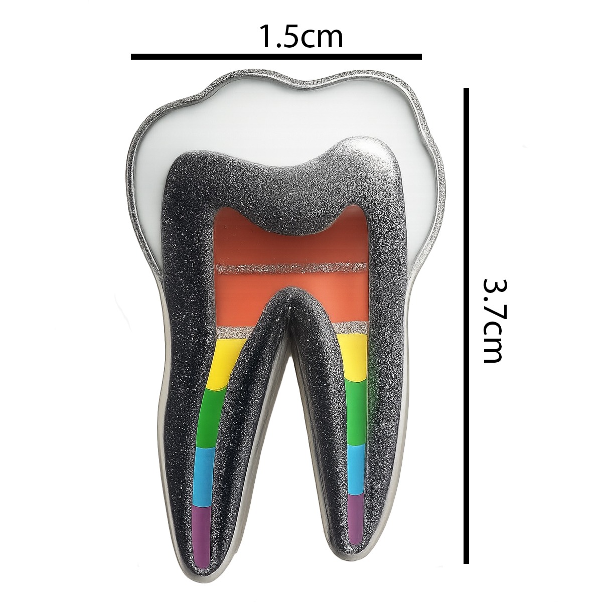 iDentical Tooth Shape Brooch With Rainbow Nerve Design – Pack Of 1 (ZYR-7412)