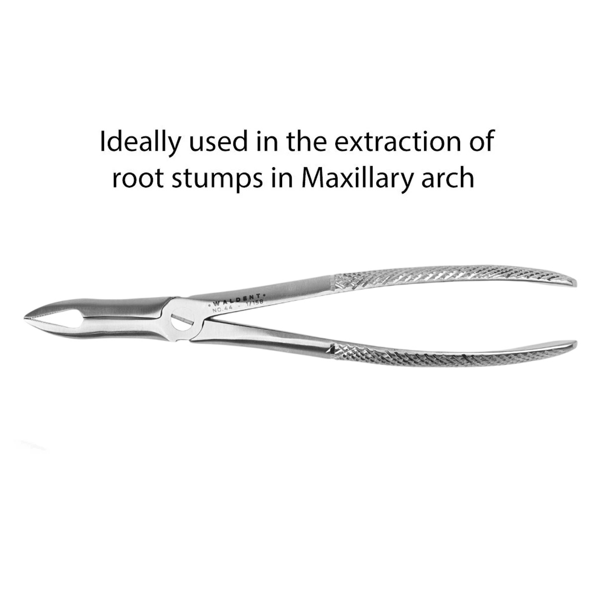 Waldent Tooth Extraction Forceps Upper Roots No.44 (1/158)