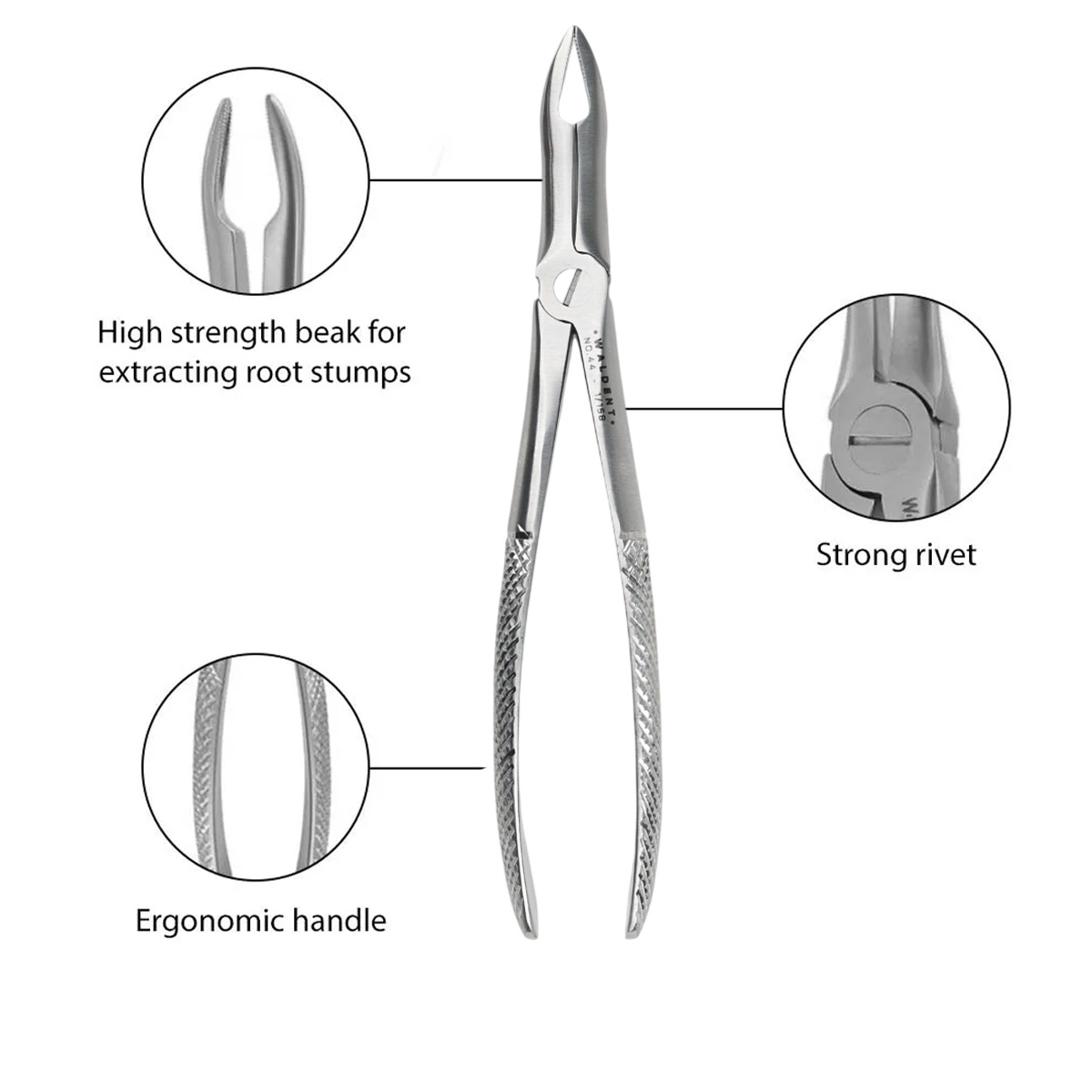 Waldent Tooth Extraction Forceps Upper Roots No.44 (1/158)