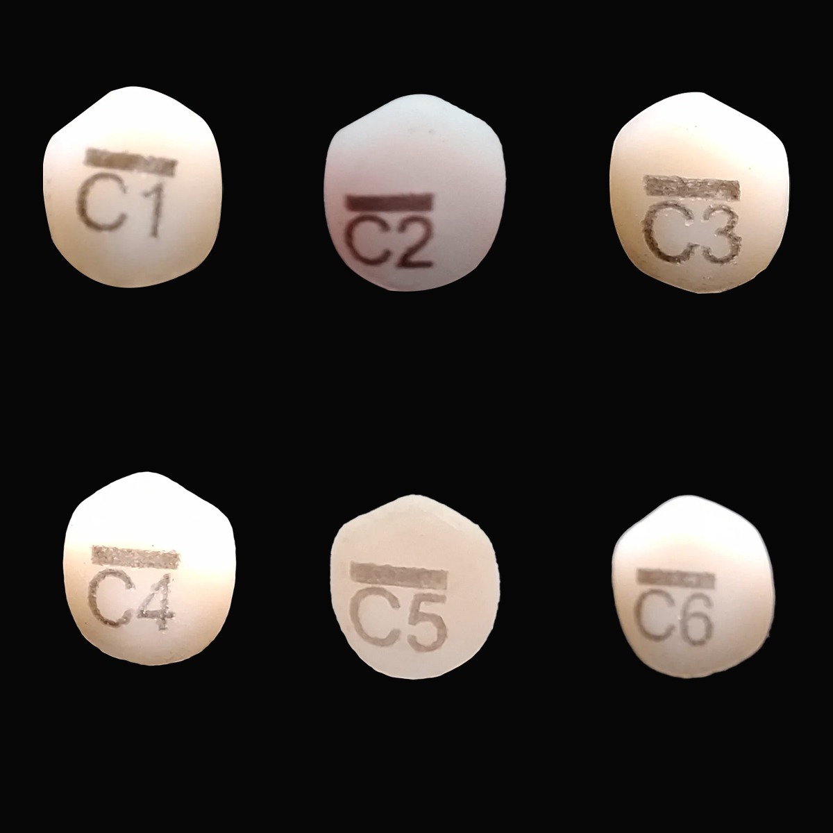 Pedo Crown Primary Upper Canine Refills