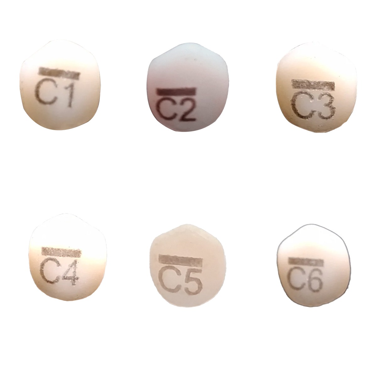 Pedo Crown Primary Upper Canine Refills