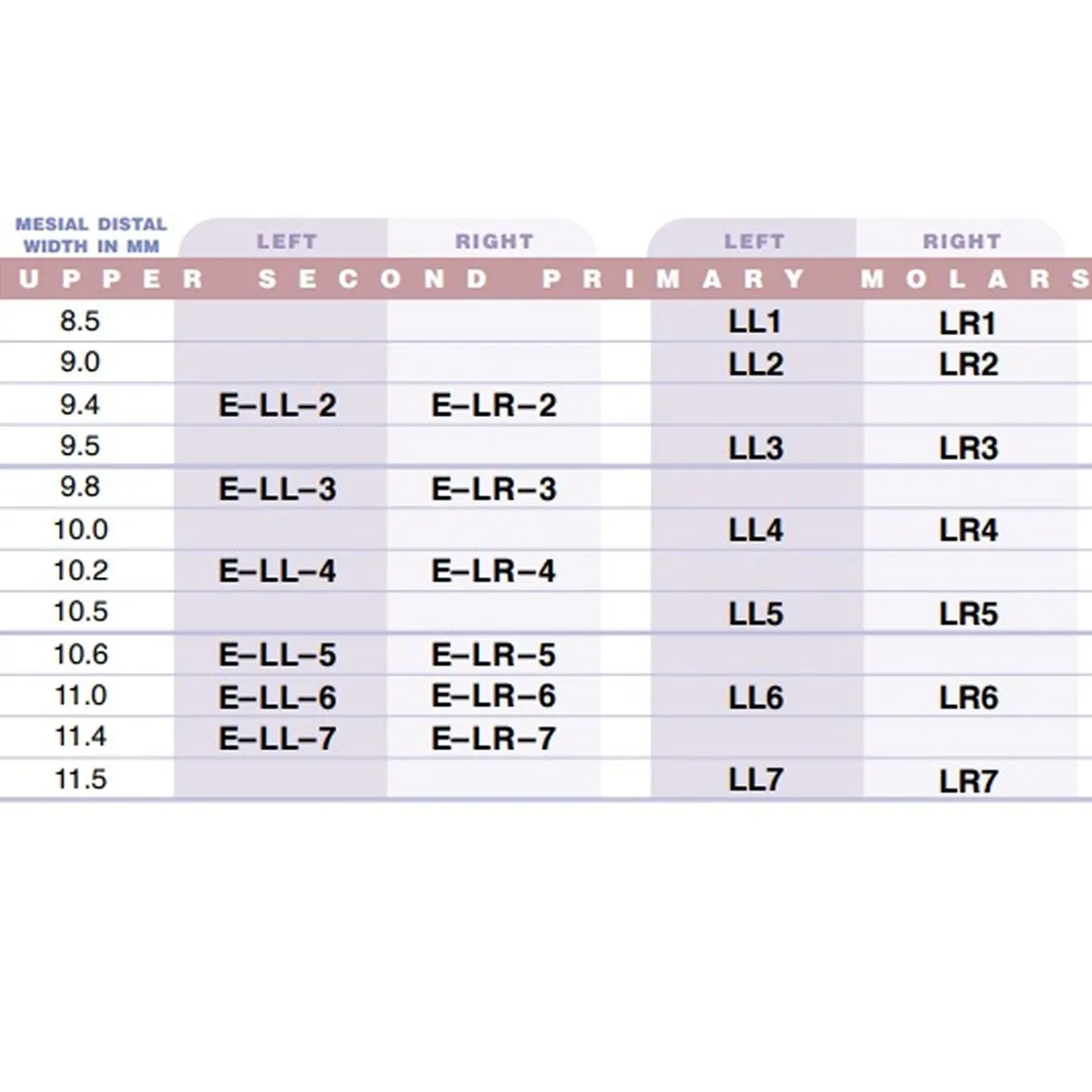 3m Espe Stainless Steel Primary Crown E( 2nd Molar)