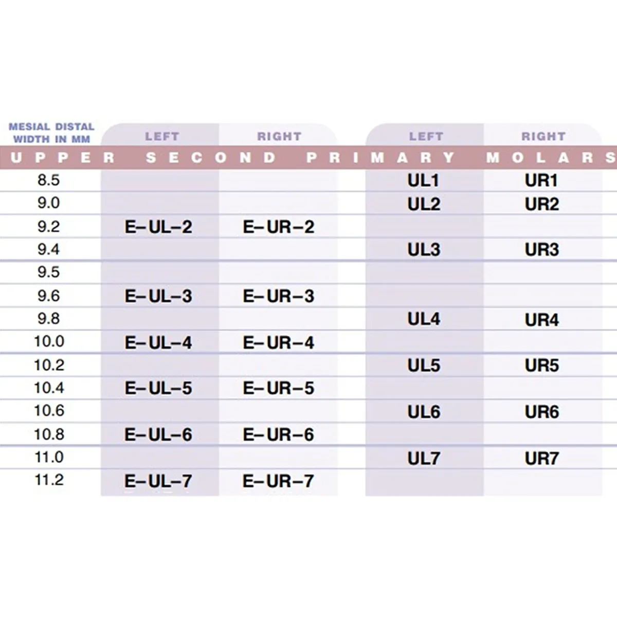 3m Espe Stainless Steel Primary Crown E( 2nd Molar)