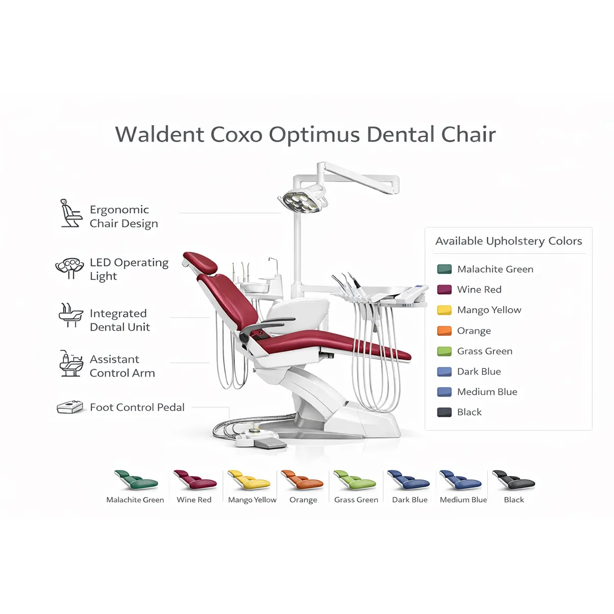 Waldent Coxo Optimus Dental Chair