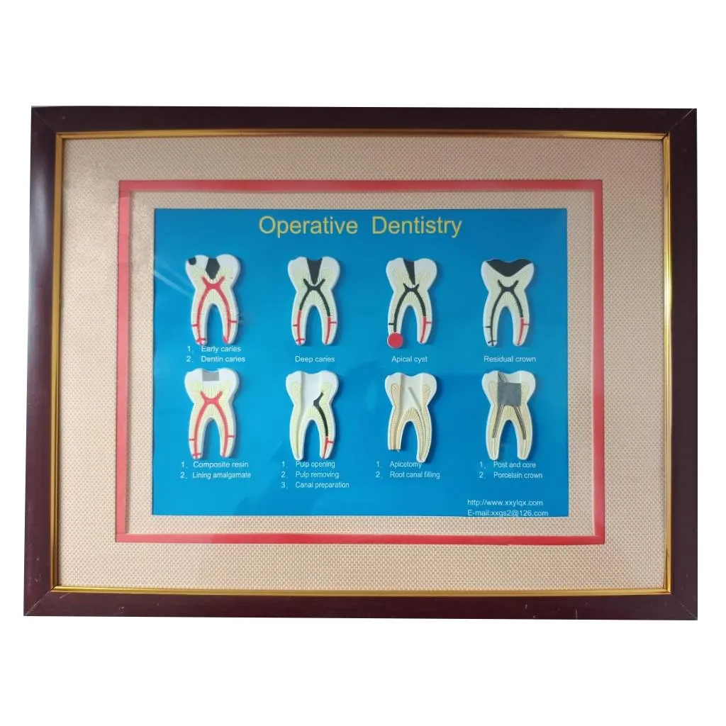 iDENTical 8 In 1 Dental Treatment Educational Board ZYR-4001