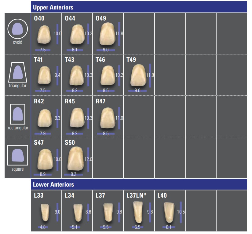 iDentical Tooth With Wings Shape Brooch - Pack of 1 (ZYR-7362)