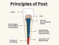 Stim Flosal (Pack Of 10)