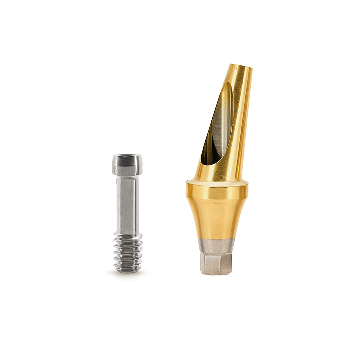 Dentaltech Korean Implant Compatible 17° Angular Abutments - Regular