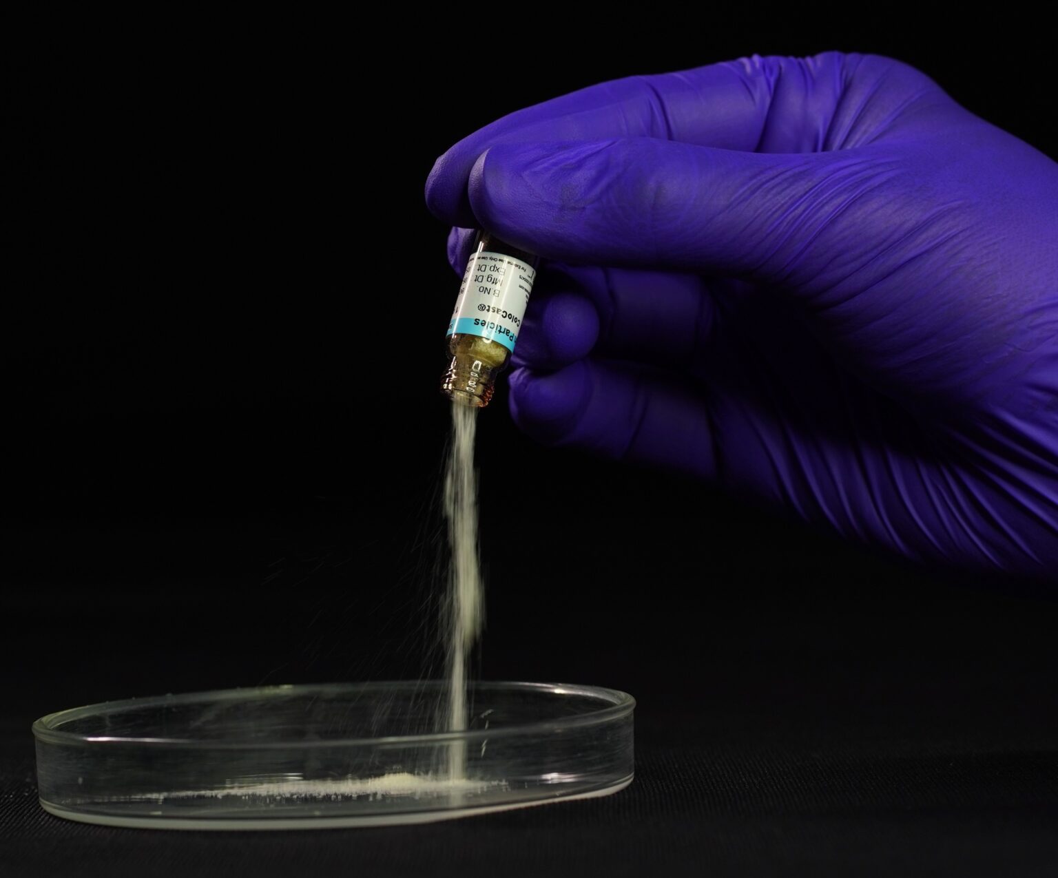 Cologenesis ColoCast De Mineralised Bone Matrix