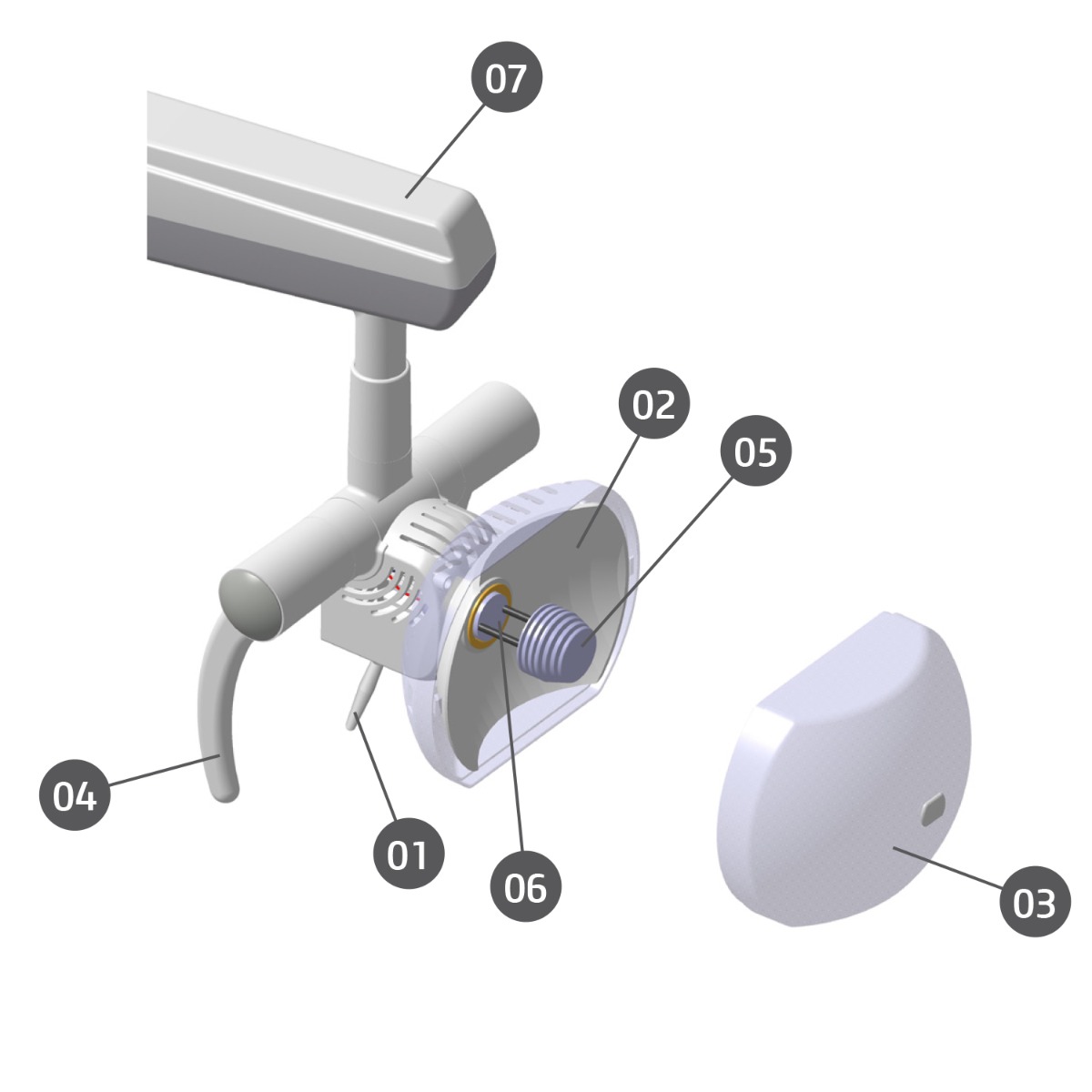 GNATUS New Presus Light Bulb