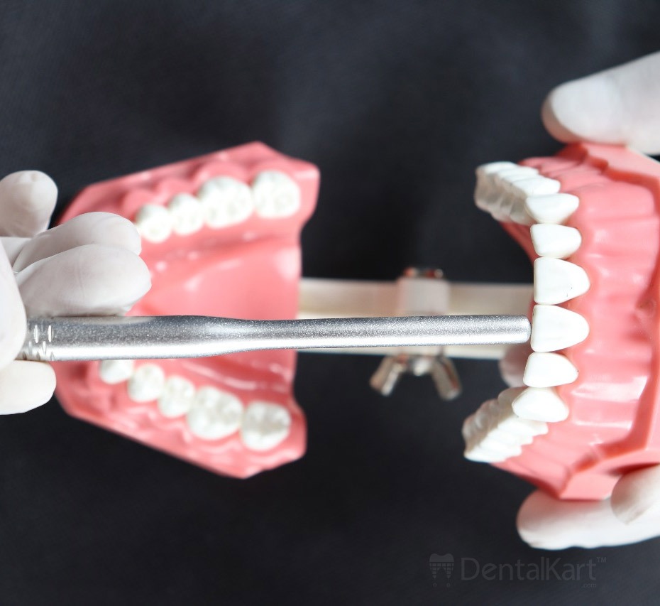 Waldent Mouth Mirror with Premium Handle (13/110)