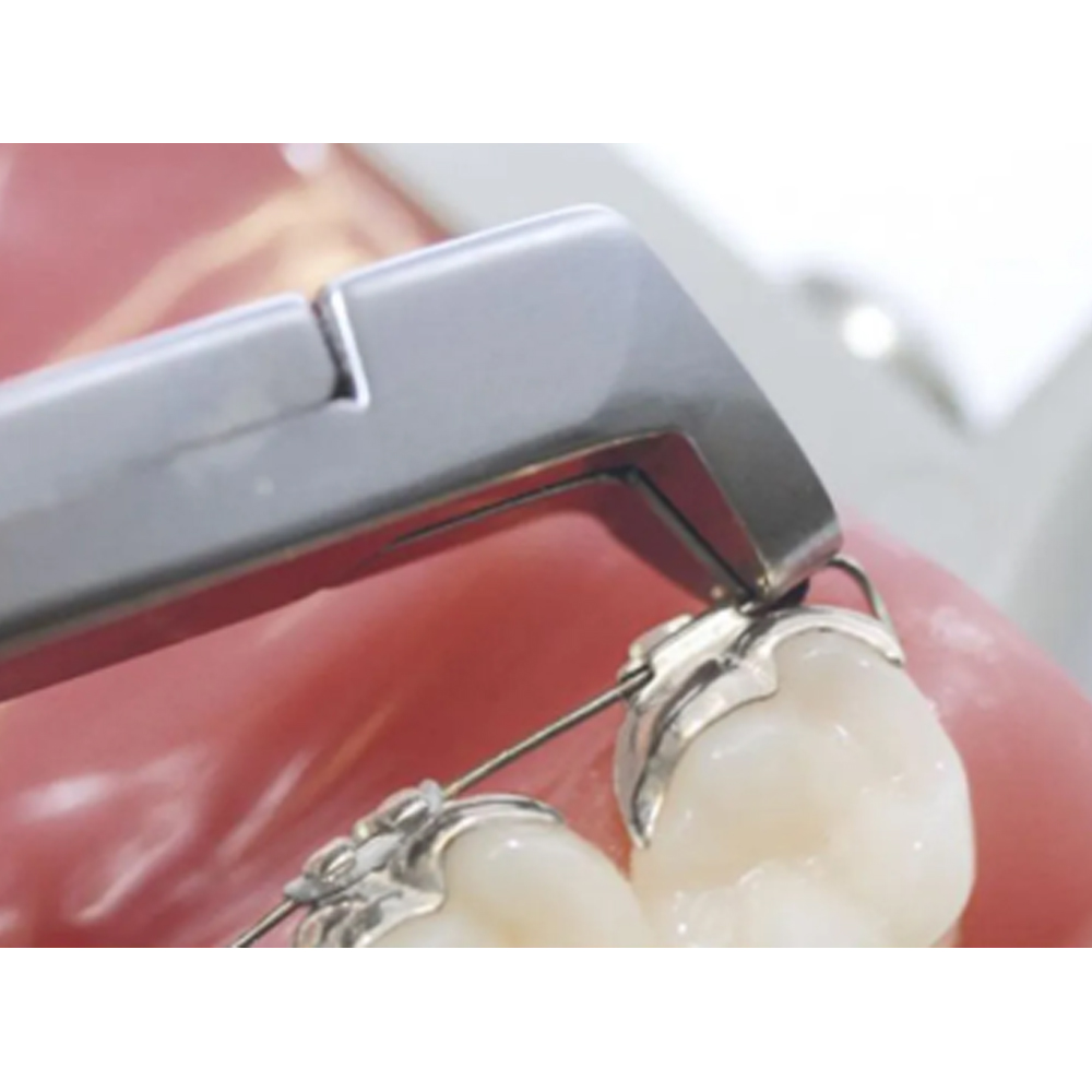 Koden Distal End Cutter (Euphoria League)