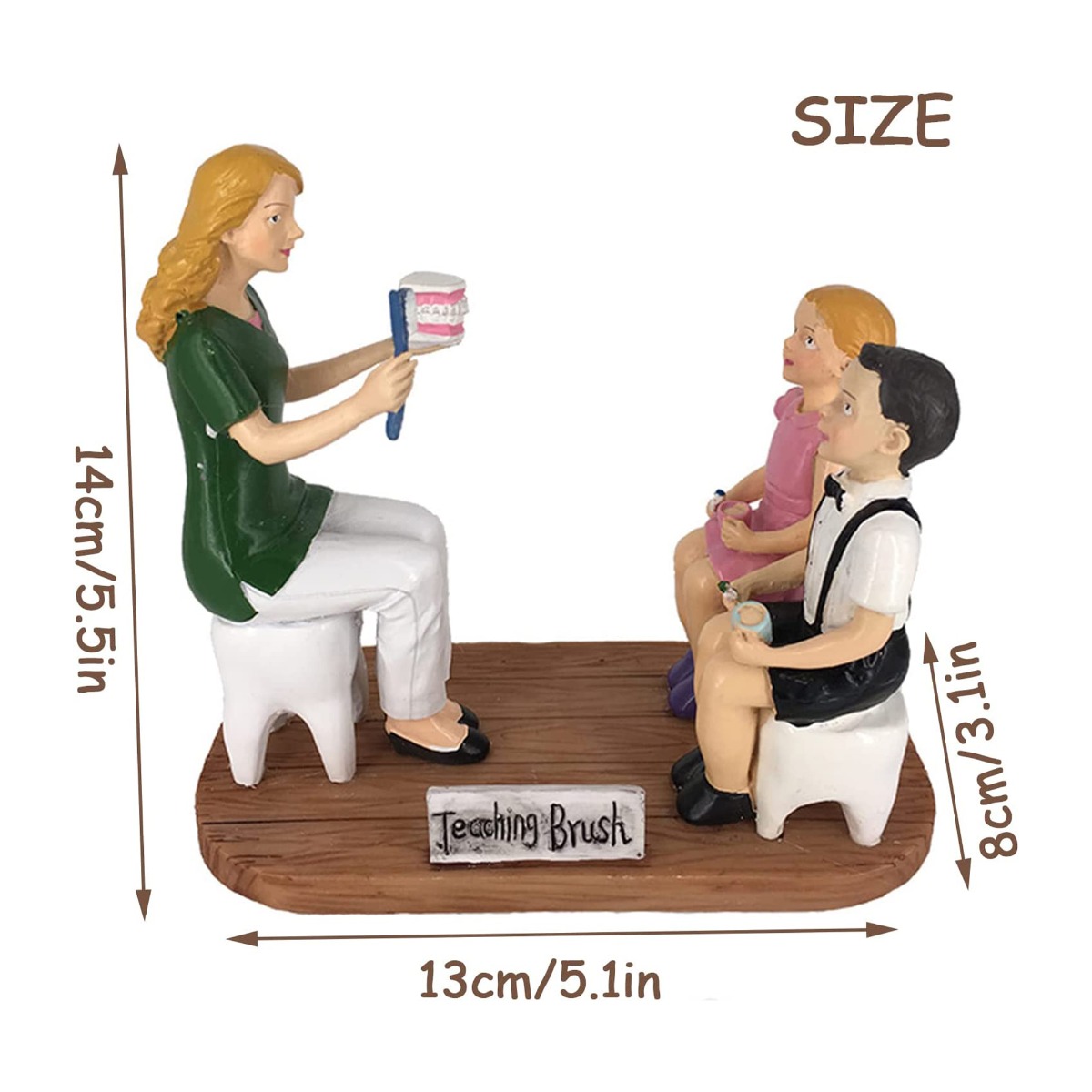 Dental Sculpture For Brushing Habits MD- 114