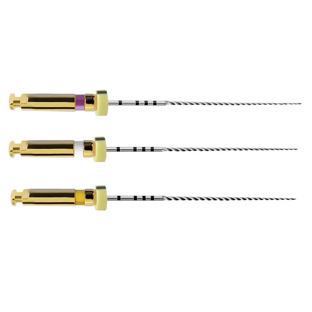 Dentsply Path Rotary File 21mm