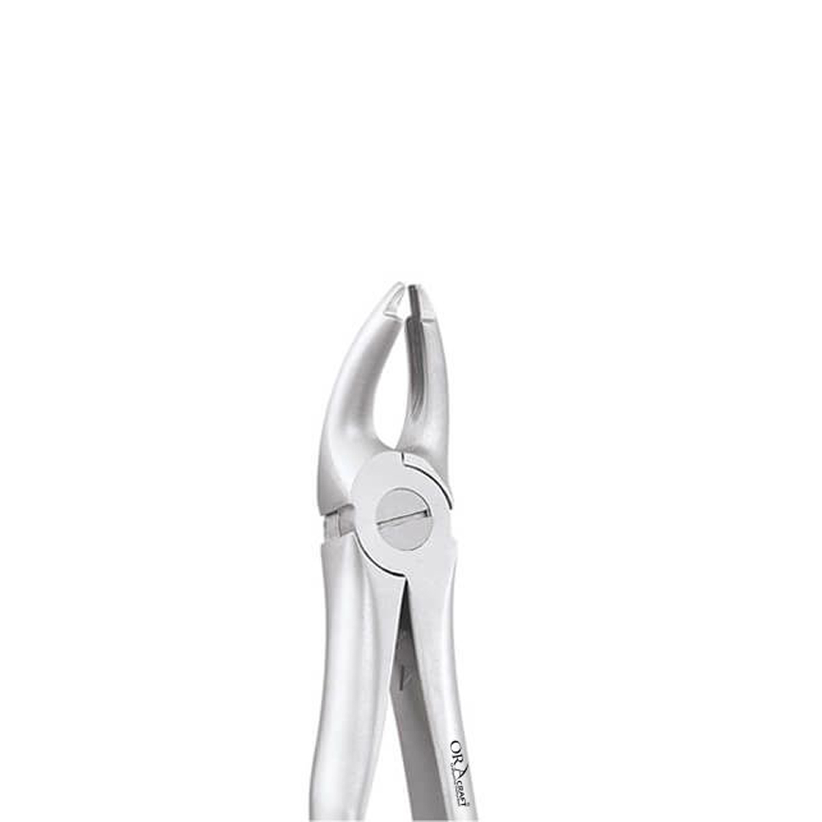 Oracraft Upper Premolars Extraction Forceps - Atraumatic (AFX7)