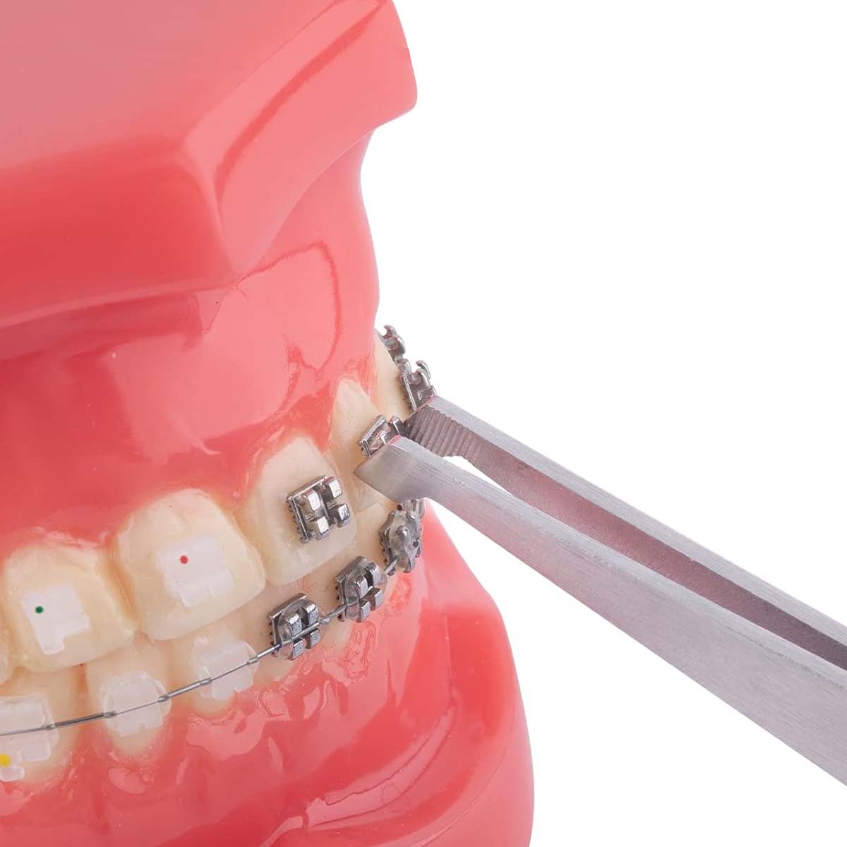 3M Unitek Transbond XT Adhesive Syringe 1 Syr Pack