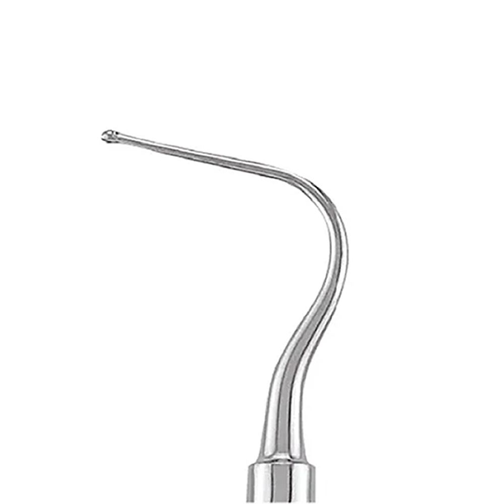 GDC Dental Dycal Applicator-Double Ended-1 (PICH6)
