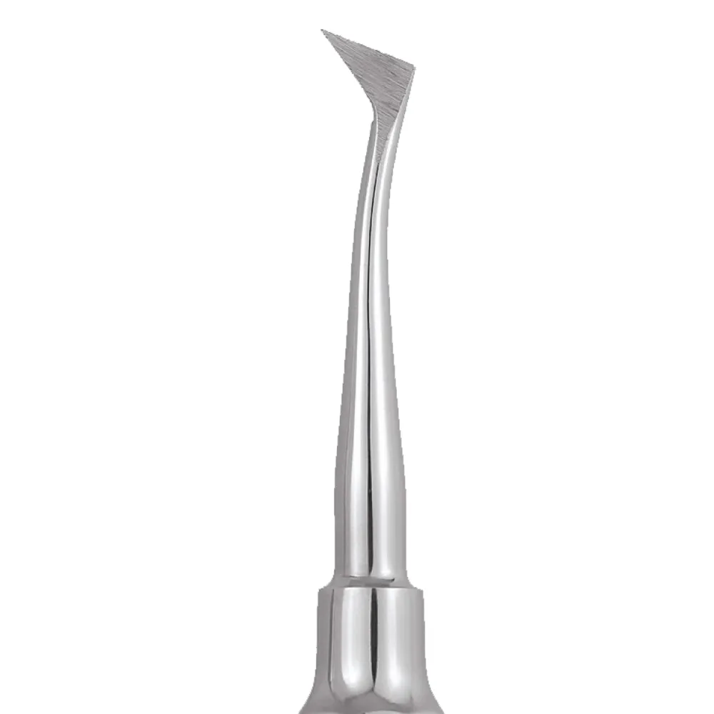 GDC Root Elevators Cryer - Right Standard (Ea31)