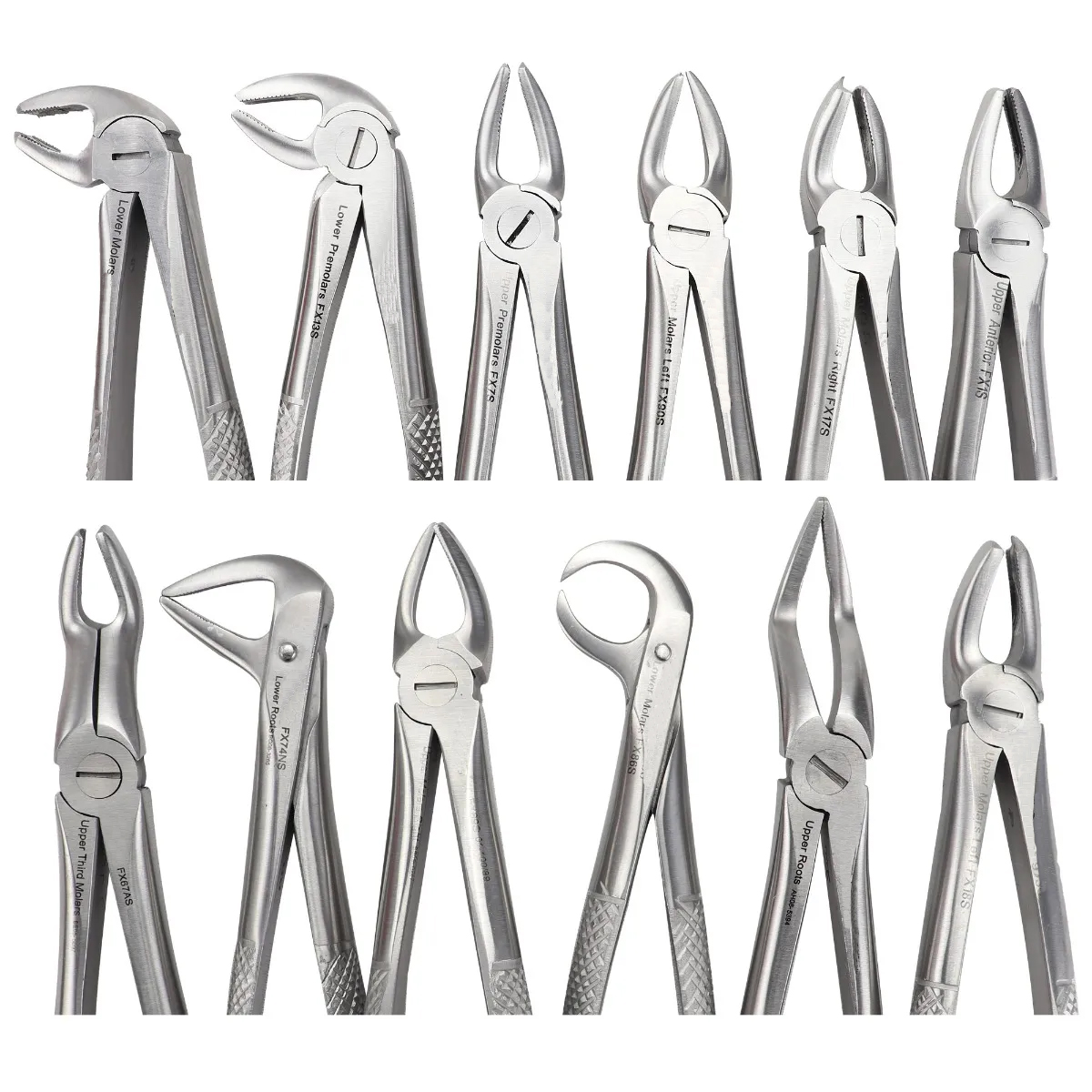 Oracraft Extraction Forceps Set Of 12 In Pouch - EFSP12