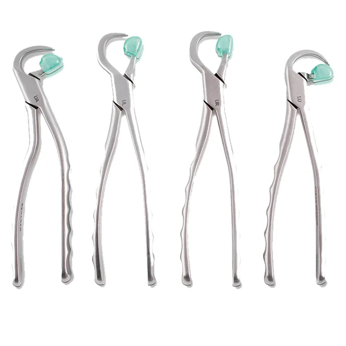 Physics Forceps Kit Online at Best Price Dentalkart