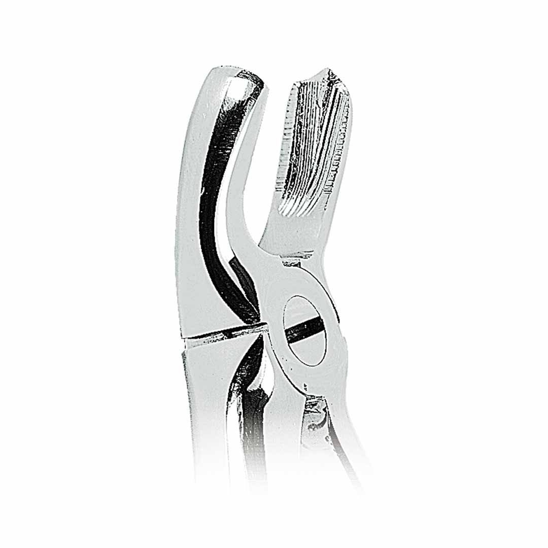 Waldent Tooth Extraction Forceps Upper Molars Left, No.18 (1/105)
