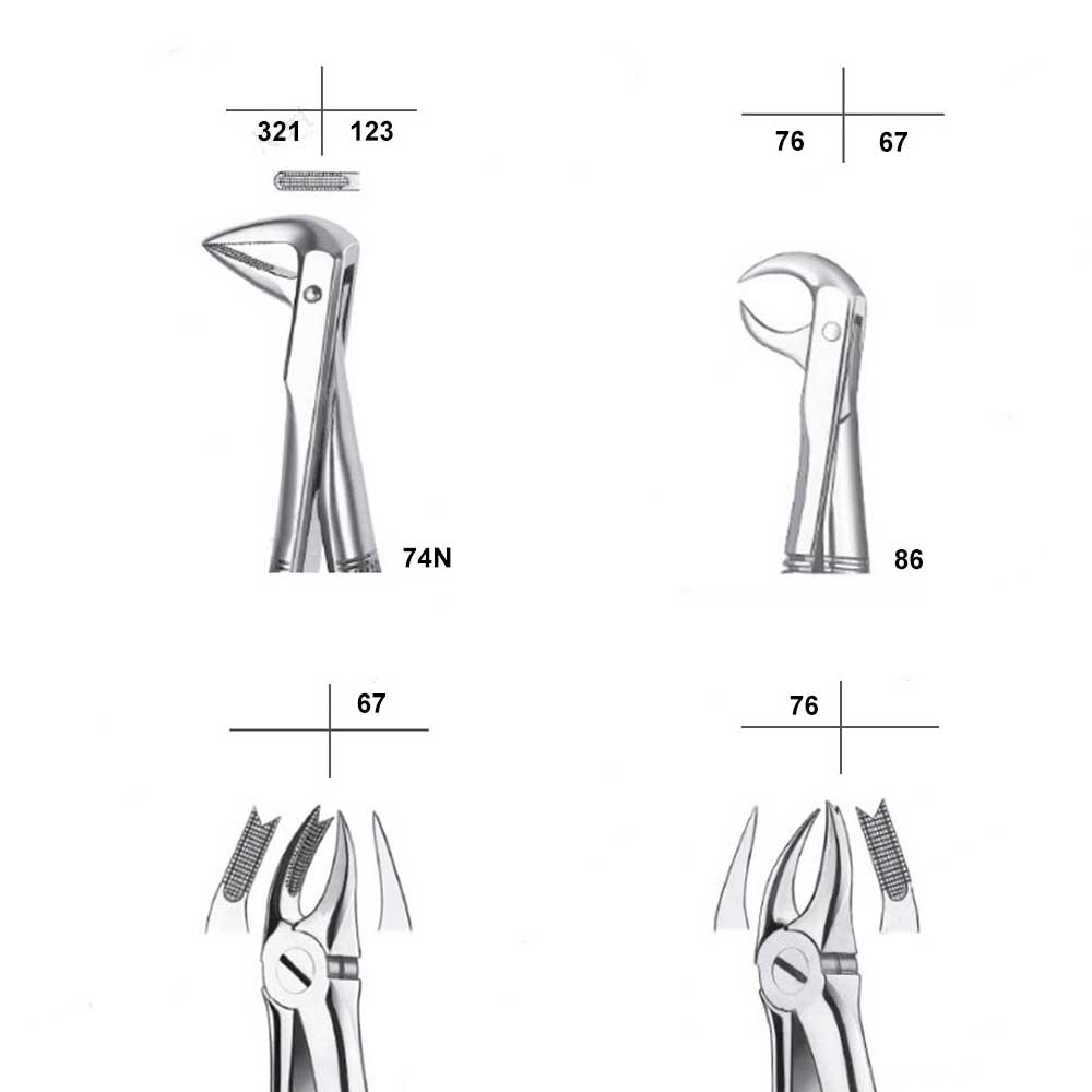 Waldent Extraction Forceps Kit Set of 12 (K1/1)     