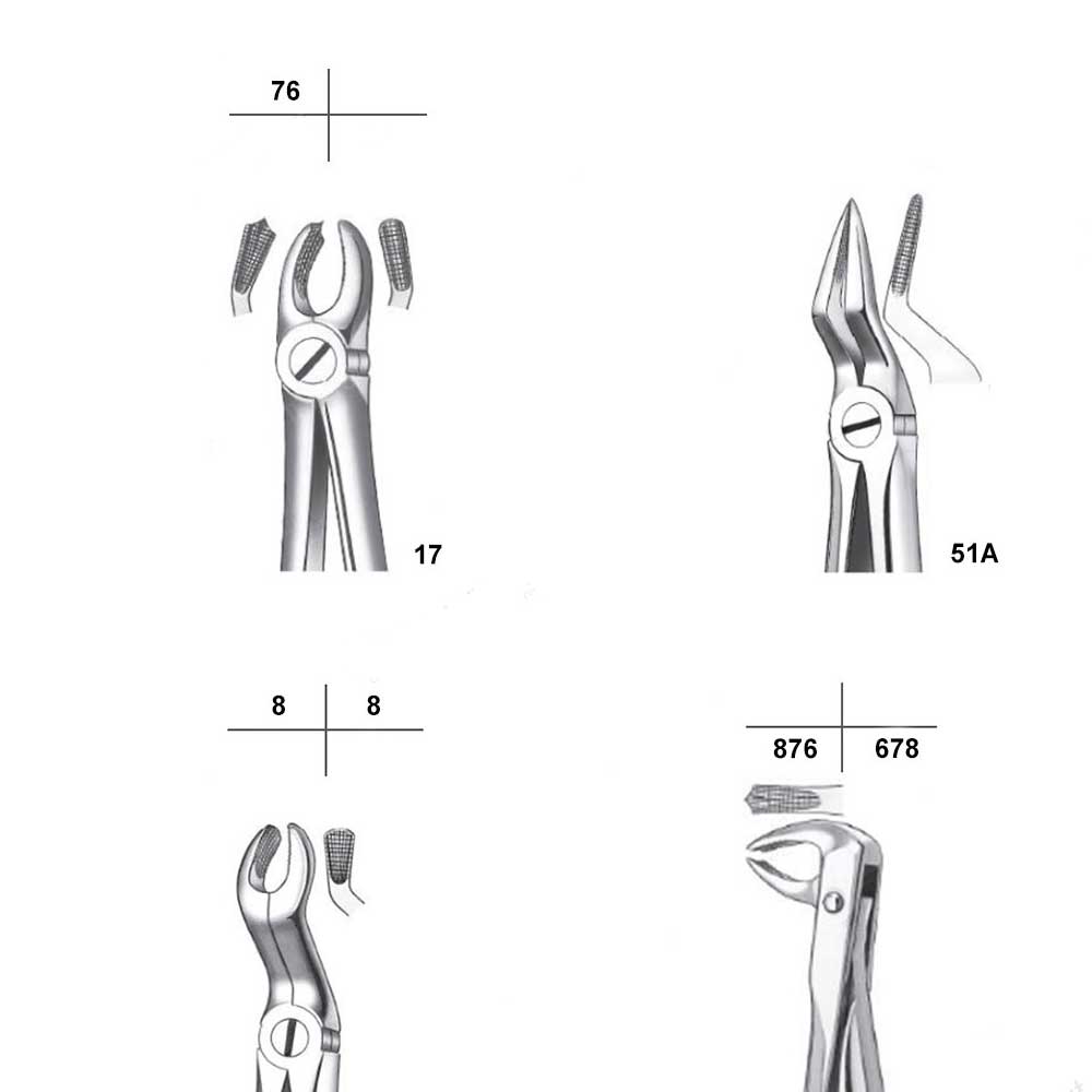 Waldent Extraction Forceps Kit Set of 12 (K1/1)     