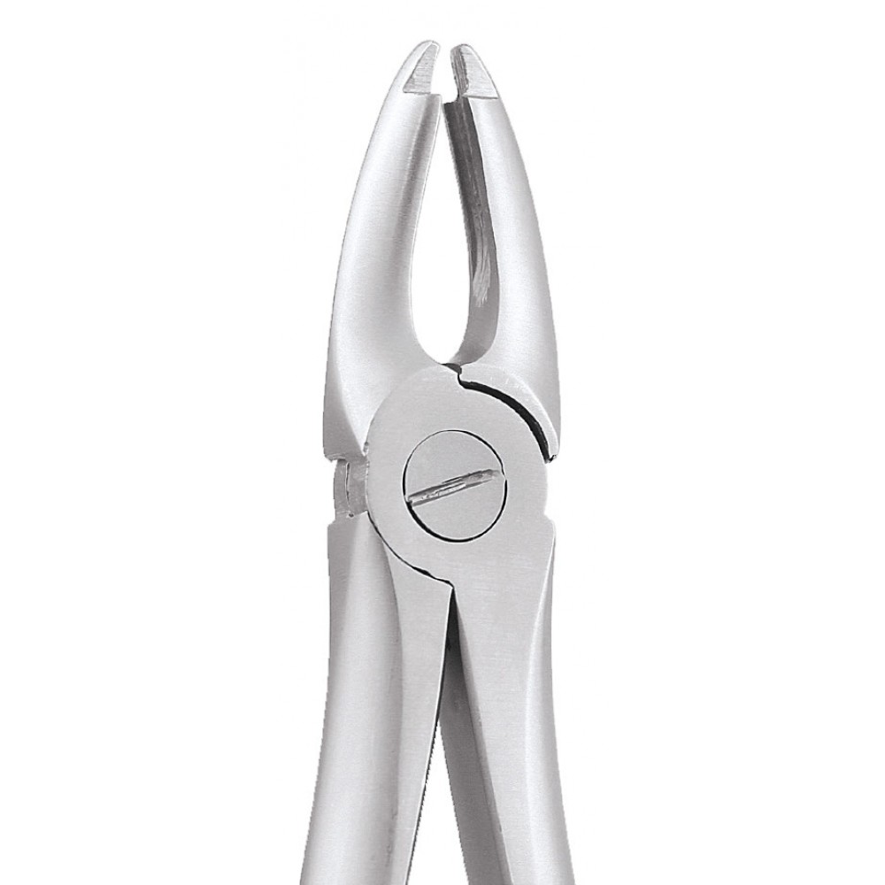 Oracraft Upper Centrals & Canines Extraction Forceps - Atraumatic (AFX1)