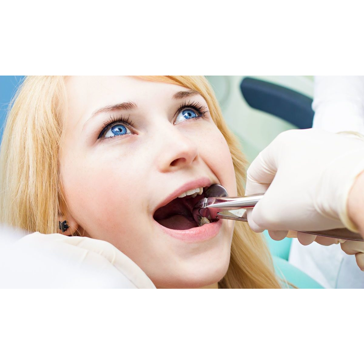 Oracraft Extraction Forceps Set Of 12 In Pouch - EFSP12