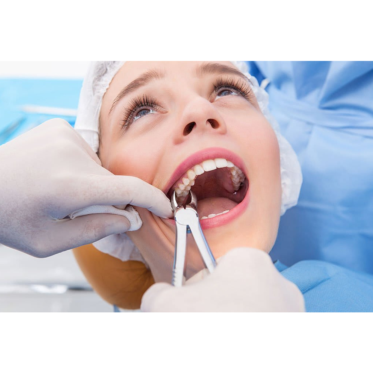 Oracraft Extraction Forceps Set Of 12 In Pouch - EFSP12