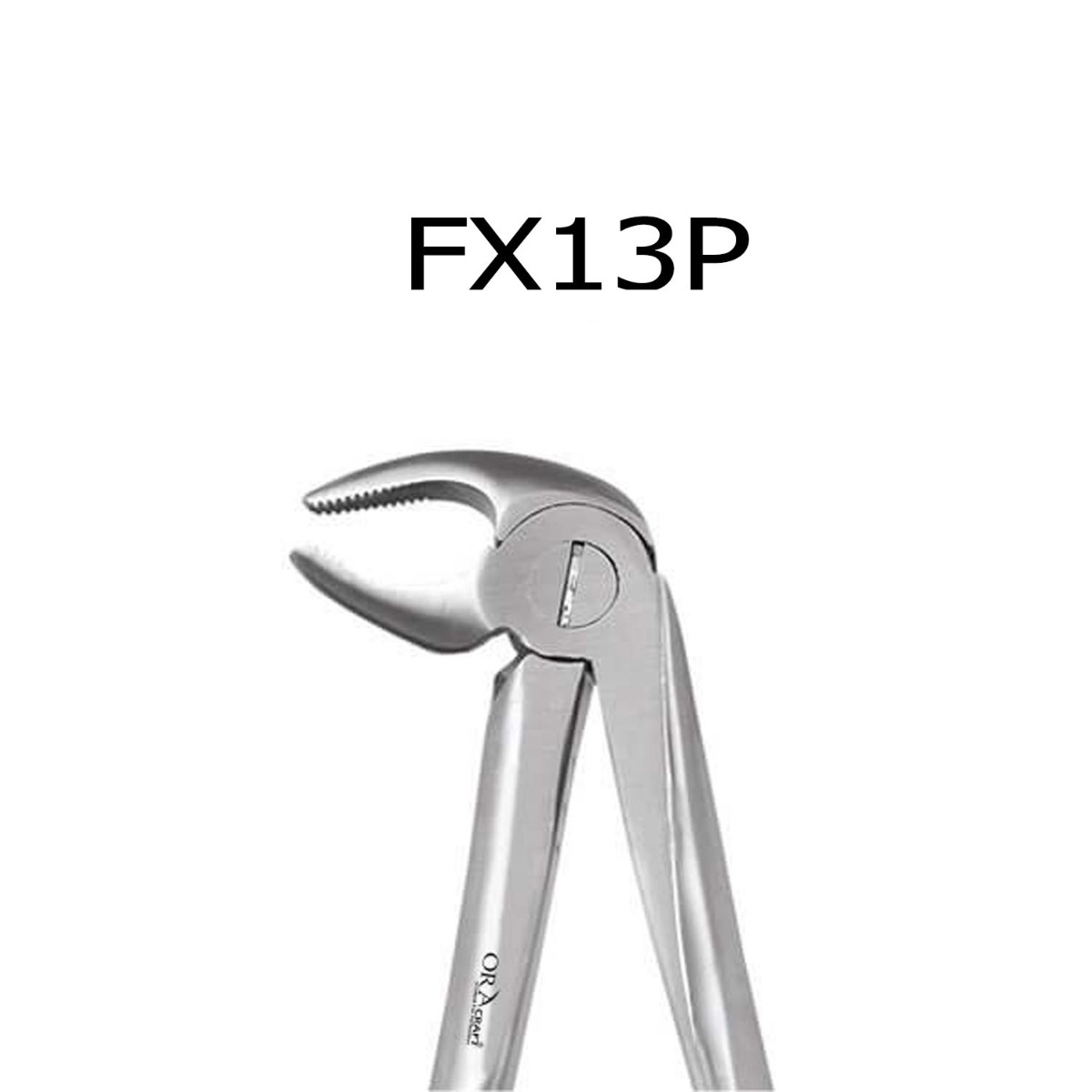 Oracraft  Extraction Forceps Premium